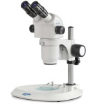 Kern Stereo-Zoom-Mikroskop OZP 555, Binokular, 0,6x-5,5x